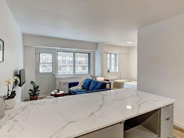 Brand New Renovated Apartments in heart of Downtown / McGill Ghetto