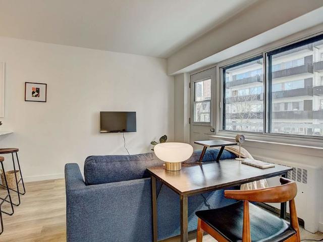 Brand New Renovated Apartments in heart of Downtown / McGill Ghetto