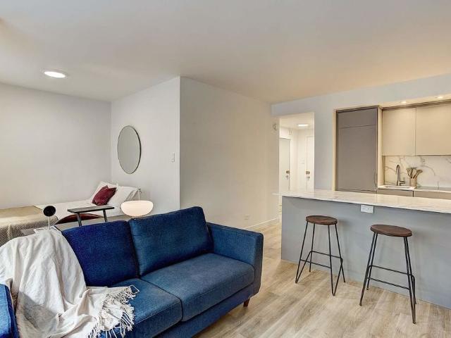 Brand New Renovated Apartments in heart of Downtown / McGill Ghetto
