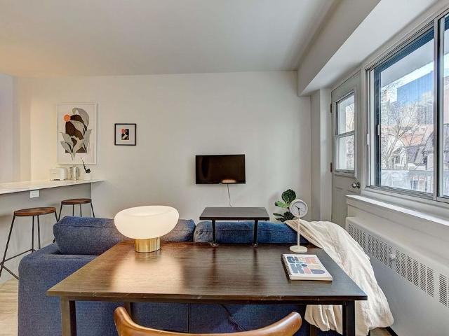 Brand New Renovated Apartments in heart of Downtown / McGill Ghetto