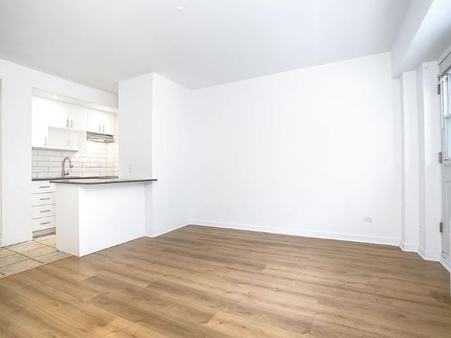 Brand New Renovated Apartments in heart of Downtown / McGill Ghetto