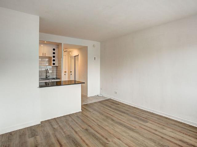 Brand New Renovated Apartments in heart of Downtown / McGill Ghetto