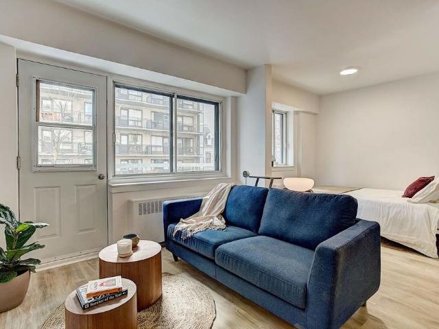 Brand New Renovated Apartments in heart of Downtown / McGill Ghetto