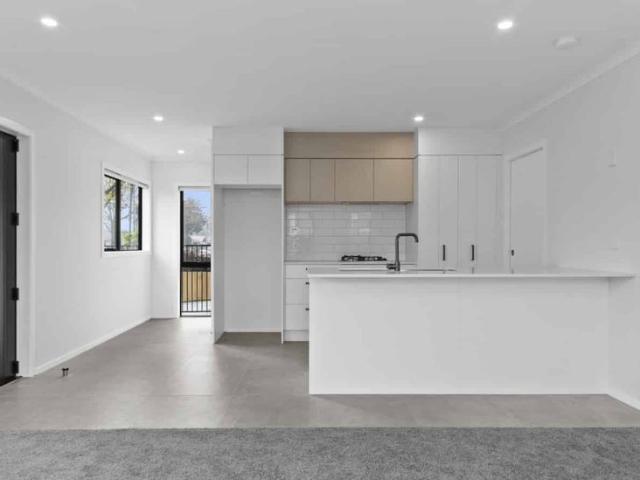 Brand New Townhouse In Hamilton East