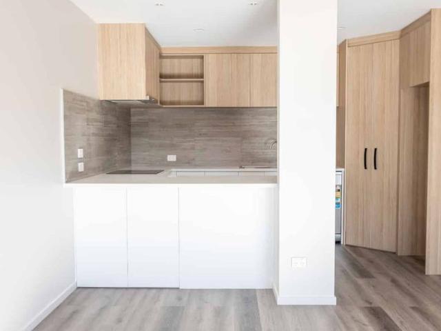 Brand New Three Bedroom Two Bathroom One Study Apartment for Rent