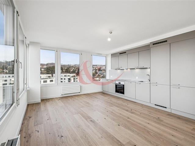 Brandneue 3,5 Zimmer Wohnung