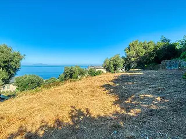 Brando 20222 Achat / Vente terrain