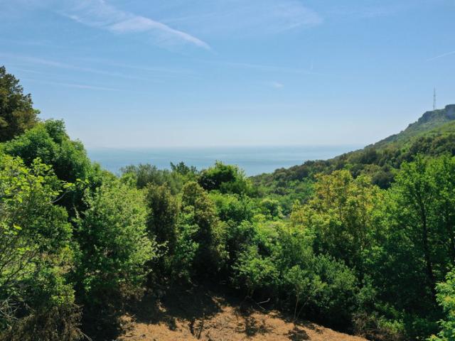 Brando Vente Terrain 20