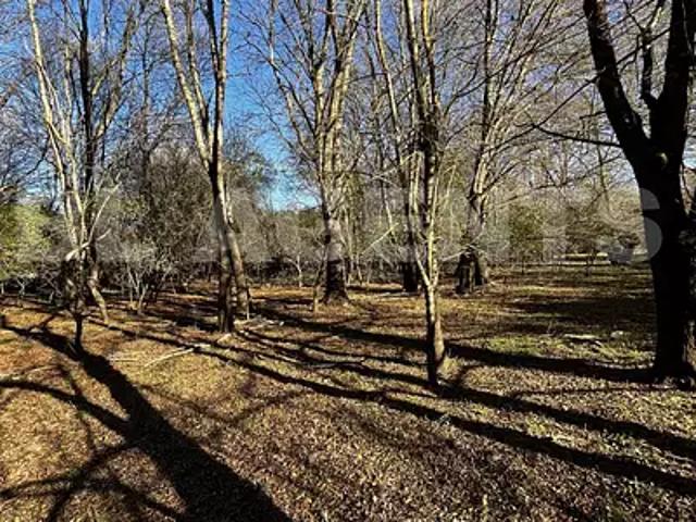 Bras 83149 Achat / Vente terrain