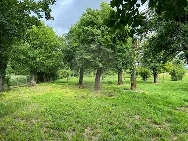 Breuillet 17920 Achat / Vente terrain