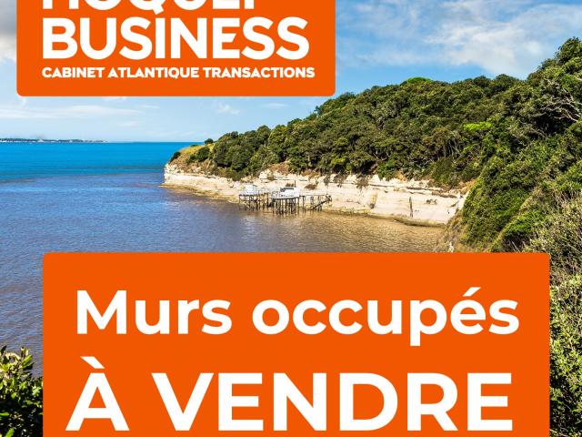 Breuillet Vente Immeuble 17