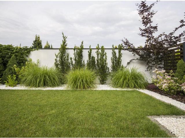 Breuillet Vente Maison 17