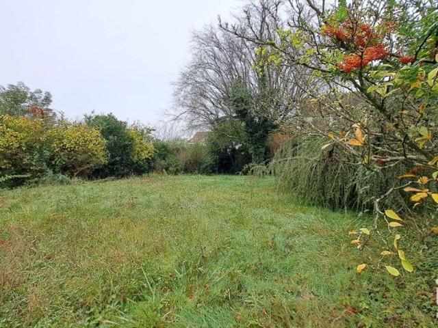 Breuillet Vente Terrain 91