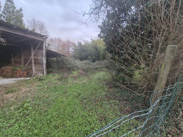 Breuillet Vente Terrain 17