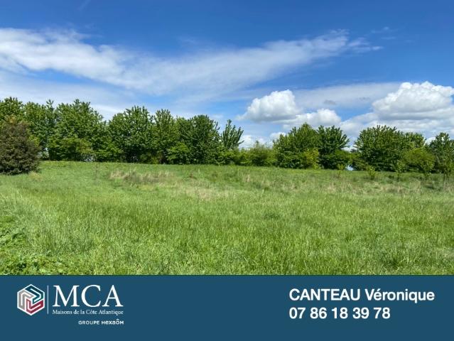 Breuillet Vente Terrain 17