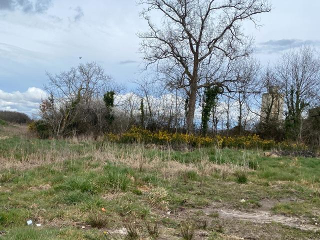 Breuillet Vente Terrain 17