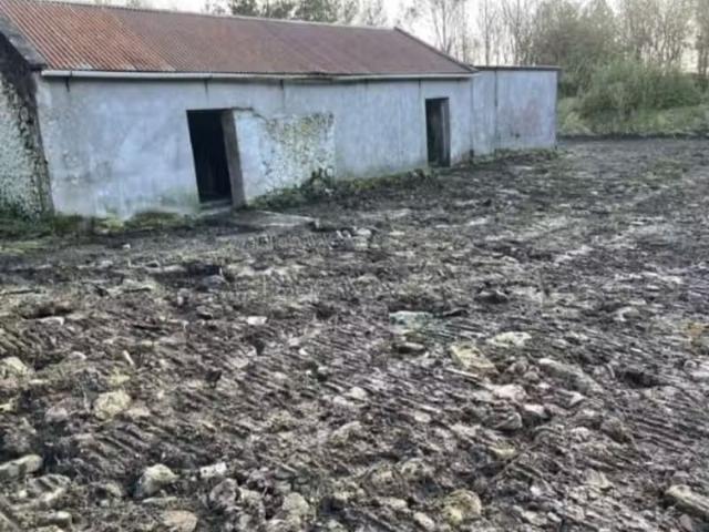 Breanamore, Castlerea, Co. Roscommon, F45PN29 is for sale