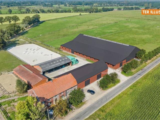 BREE Professionele accommodatie op 8 HA !