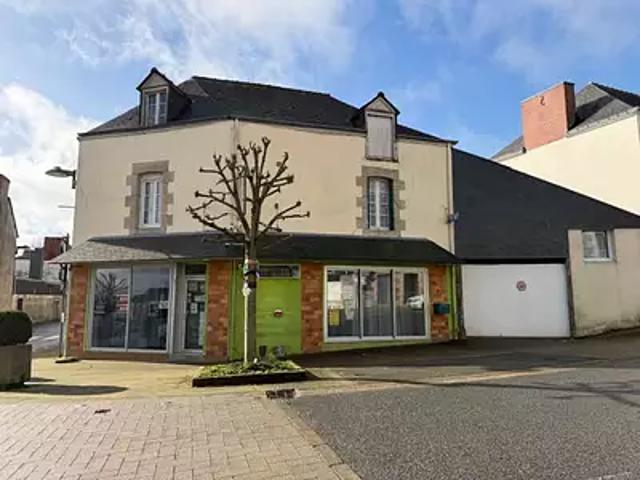 Bréhan 56580 Achat / Vente maison 9 pièces t9