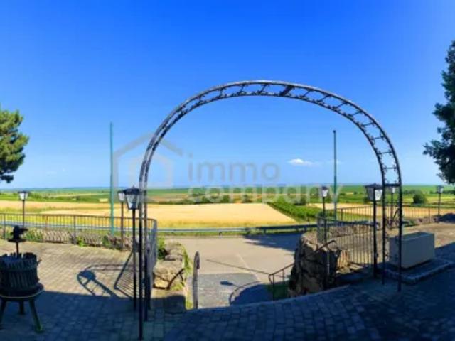 Breitenbrunn am Neusiedler See 7091 101997965