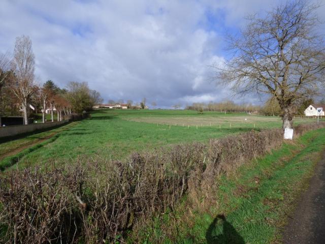 Bressolles Vente Terrain 03