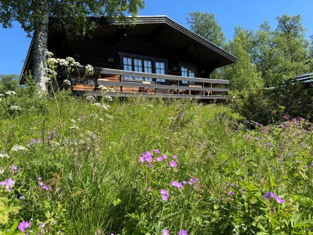 Brf.Fjällsätern vecka 34, Hus