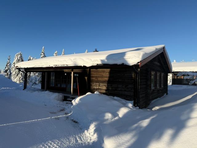 Brf. Skogsfåglarna Orren vecka