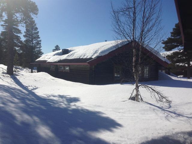 Brf. Skogsfåglarna, sportlov v