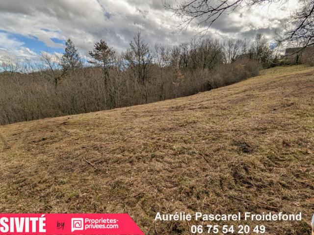 Brive la Gaillarde Vente Terrain 19