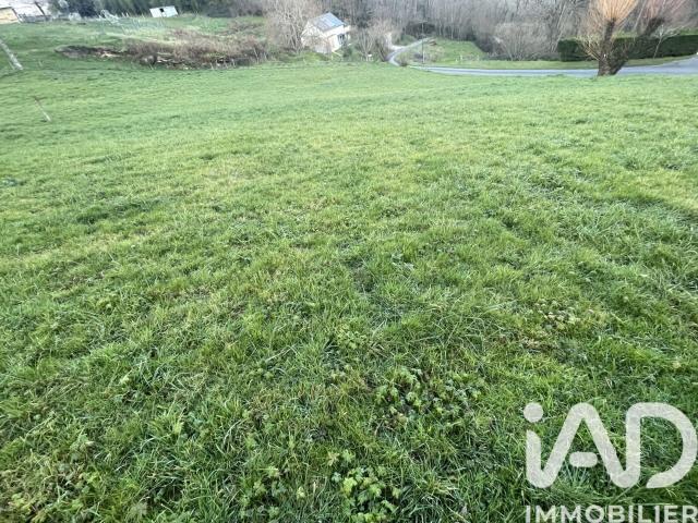 Brive la Gaillarde Vente Terrain 19
