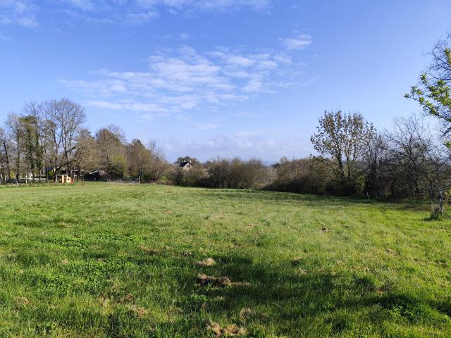 Brive la Gaillarde Vente Terrain 19