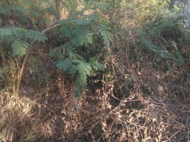 Brickcem Arckadia 600 Sq.Yd. Plot in Kismatpur Hyderabad Listing ID: #10402