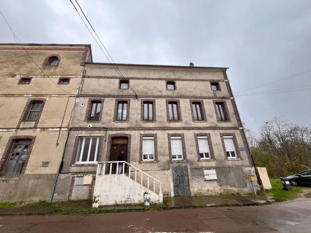 Brienon sur Armançon Vente Immeuble 89