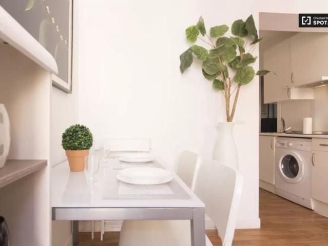 Bright 1 bedroom apartment with AC and balcony to rent in laidback Puerta del Ángel