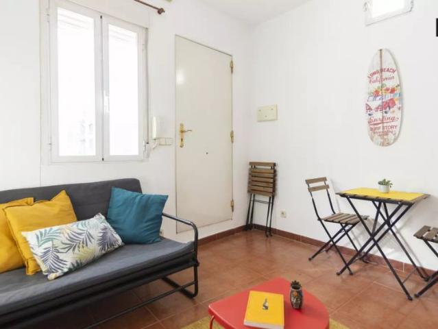 Bright 1 bedroom apartment with 2 terraces for rent in Centro