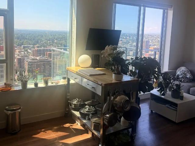 Bright 1 Bedroom 1 Bathroom Apartment with Mountain View