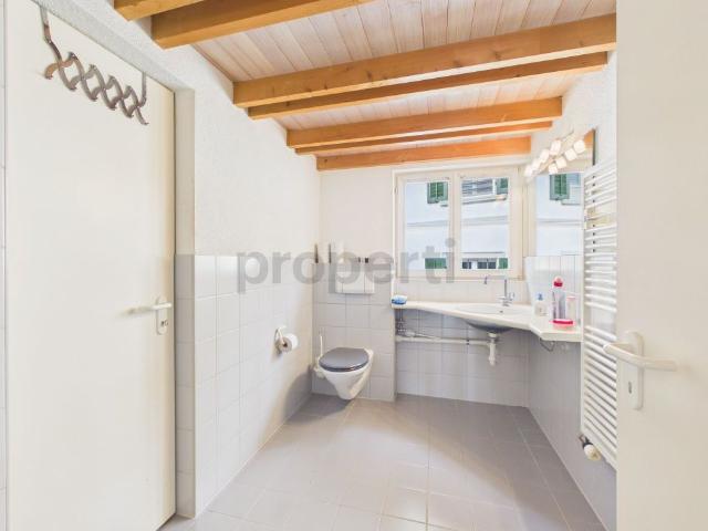 Bright 1 room loft apartment with balcony overlooking greenery, Hausen am Albis – Rent including utilities