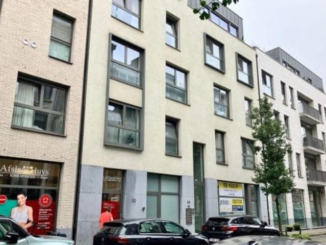 Bright 2 bed apt with terrace & parking at Het Zuid