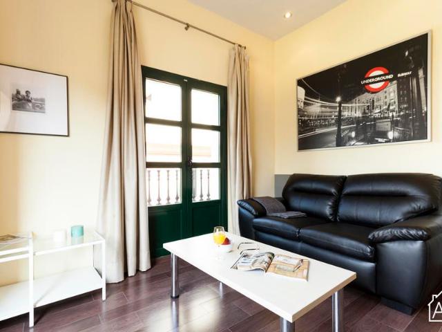 Bright 2 Bedroom Apartment with Balcony on Passeig del Born