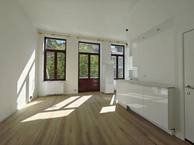 Bright and Newly Renovated Apartment! 1 Bedroom in Etterbeek