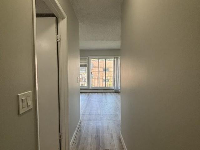 BRIGHT & BEAUTIFUL 1 Bed, 1 Bath in Trendy Bankview! 1 Bedroom Apartment for Rent at 103, 2310 17A Street Southwest, Calgary, AB T2T 4S1 Bankview
