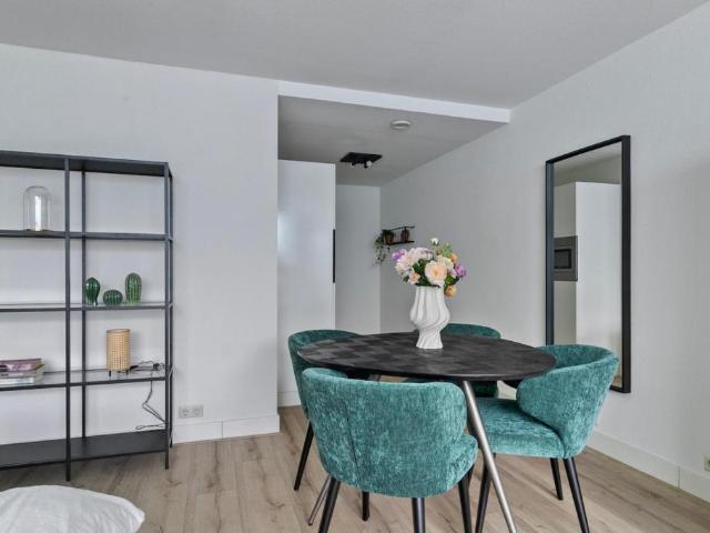 Bright Fully Furnished 1 Bedroom Apartment in Rotterdam City Centre