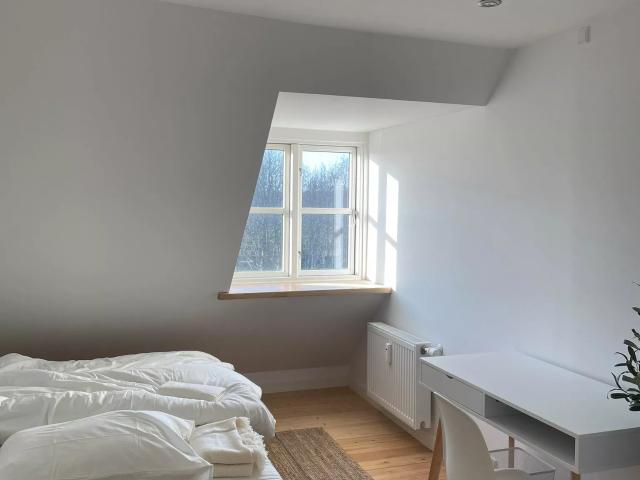 Bright, furnished room in penthouse apartment, near university, forest, and sea