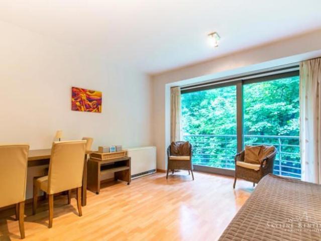 BRIGHT furnished studio with TERRACE
