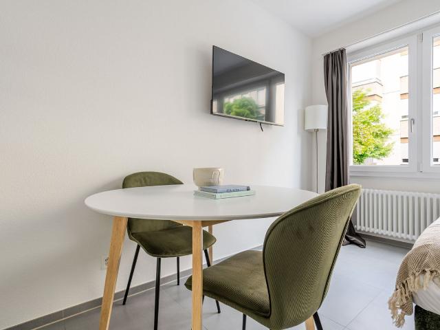 Bright Furnished Studio in Basel Iselin, Basel Amsterdam Apartments for Rent