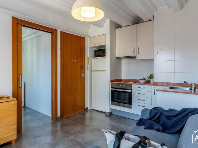 Bright One Bedroom Apartment in La Barceloneta