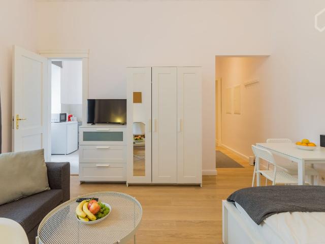 bright & modern studio apartment with beautiful terrace in central location, Berlin Amsterdam Apartments for Rent