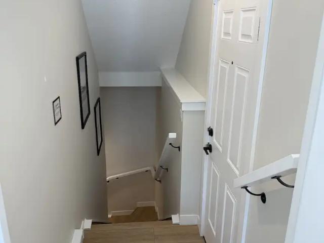 Bright & Spacious 2 Bedroom Basement Suite for Rent