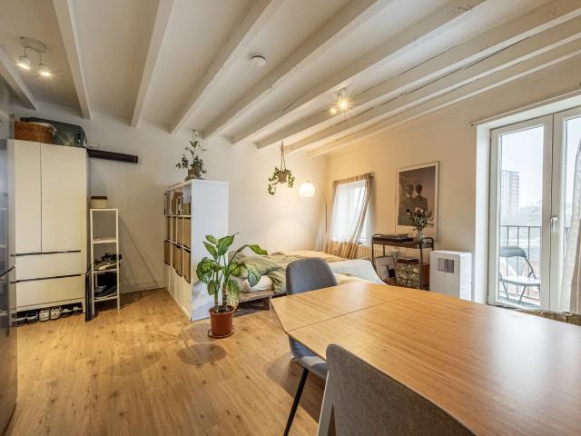 Bright Studio Apartment with Balcony in Kralingen West