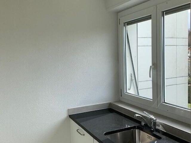 Bright studio, renovation in October 2026